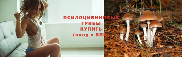 таблы Нефтекумск
