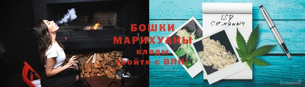 гашик Нея