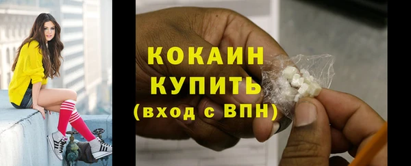прущие грибы Навашино