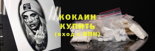 спиды Новодвинск